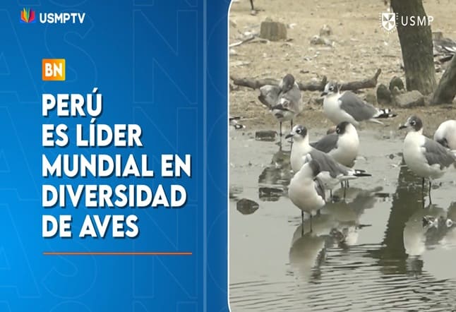 NUESTRO PAÍS REGISTRA UN NUEVO RÉCORD INTERNACIONAL